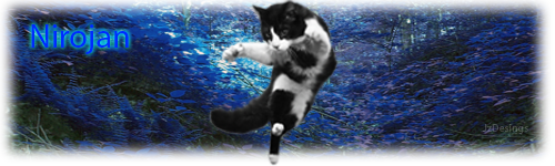 FlyingCatFinished.png