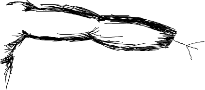 fuckhands.png