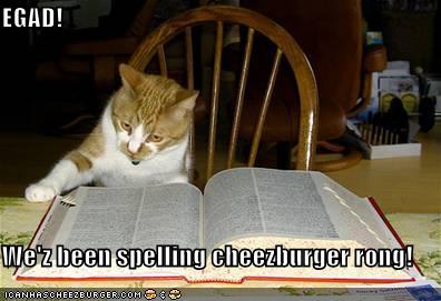 funny-pictures-cat-dictionary-cheezburger.jpg