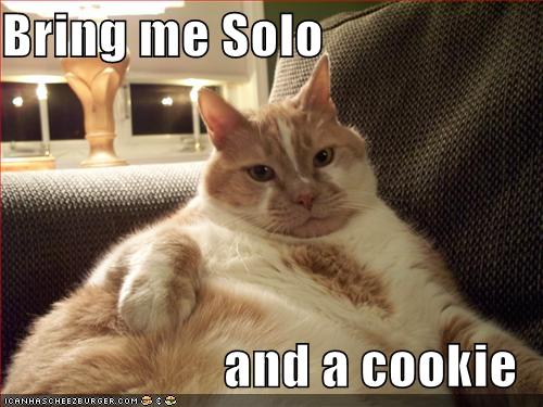 funny-pictures-orange-jabba-cat.jpg