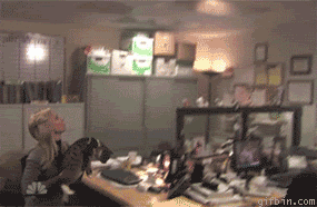 FunnyGifs8.gif