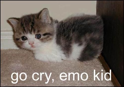 go cry emo kid.jpg
