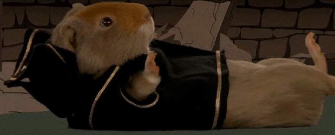Guineapirate.PNG