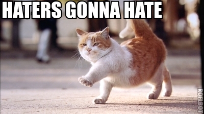 Haters gonna hate CAT JPG.jpg