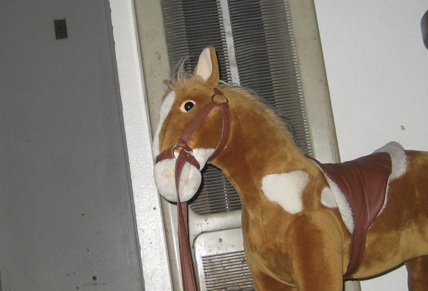 horse1.JPG