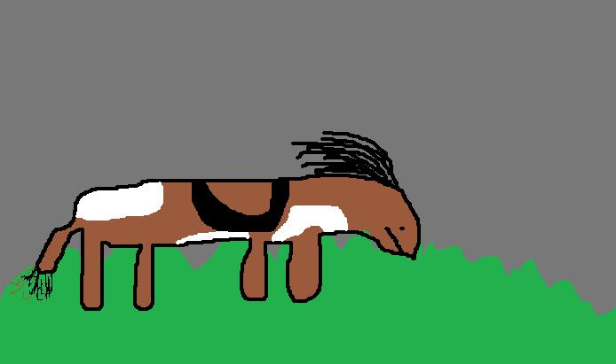 Horse.jpg