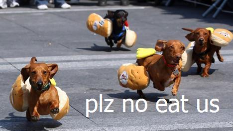 hot dog hah.jpg