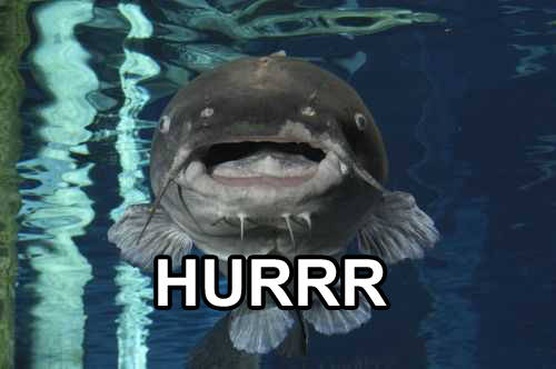 Hurrr.jpg