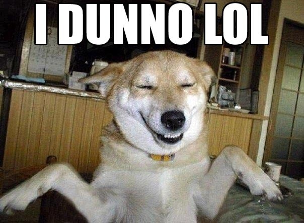 i_dunno_lol_100.jpg