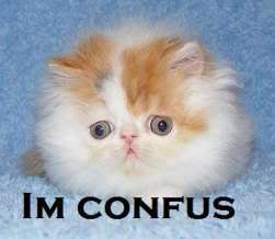 im confus.jpg