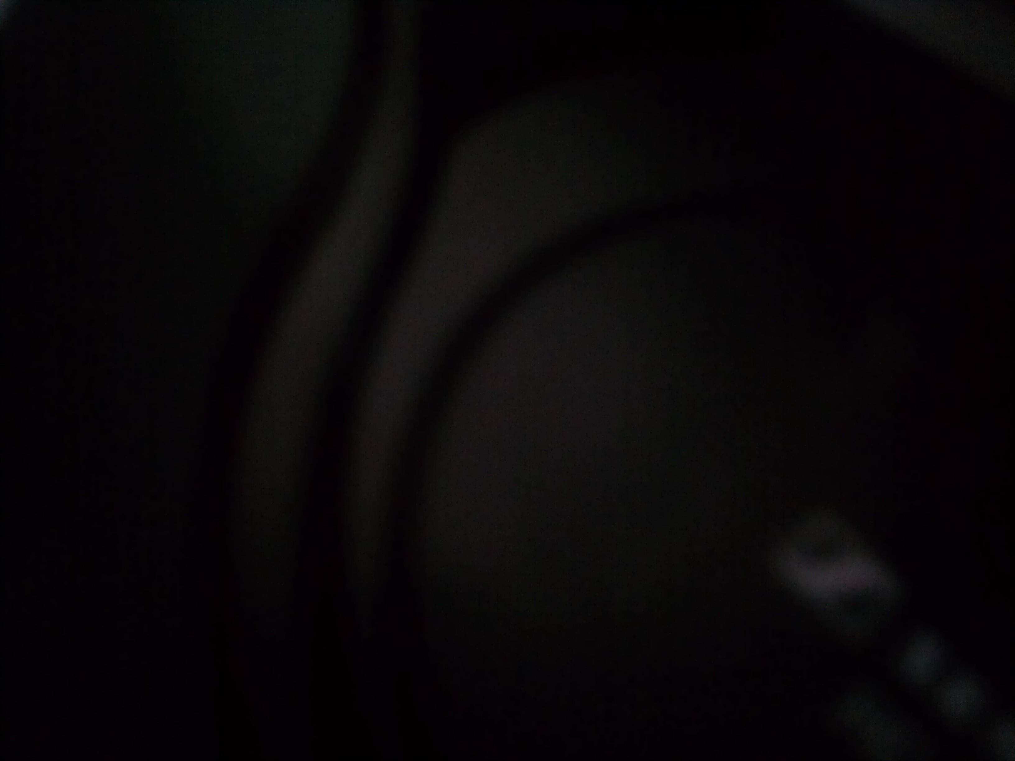 IMAG1074.jpg