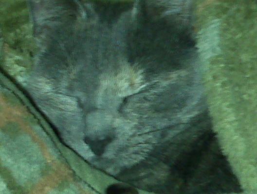 IMG00021.jpg