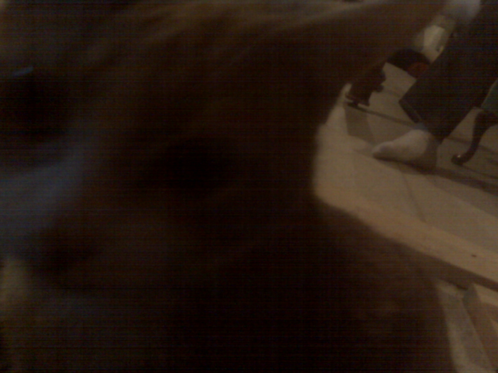 IMG00100.jpg