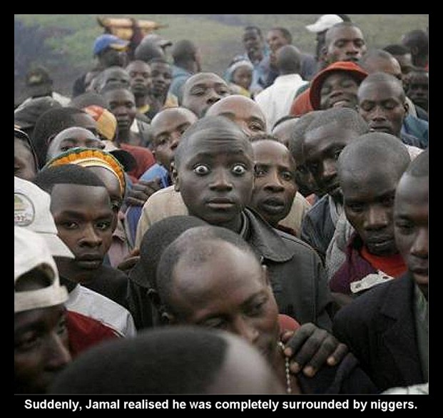 jamal.jpg