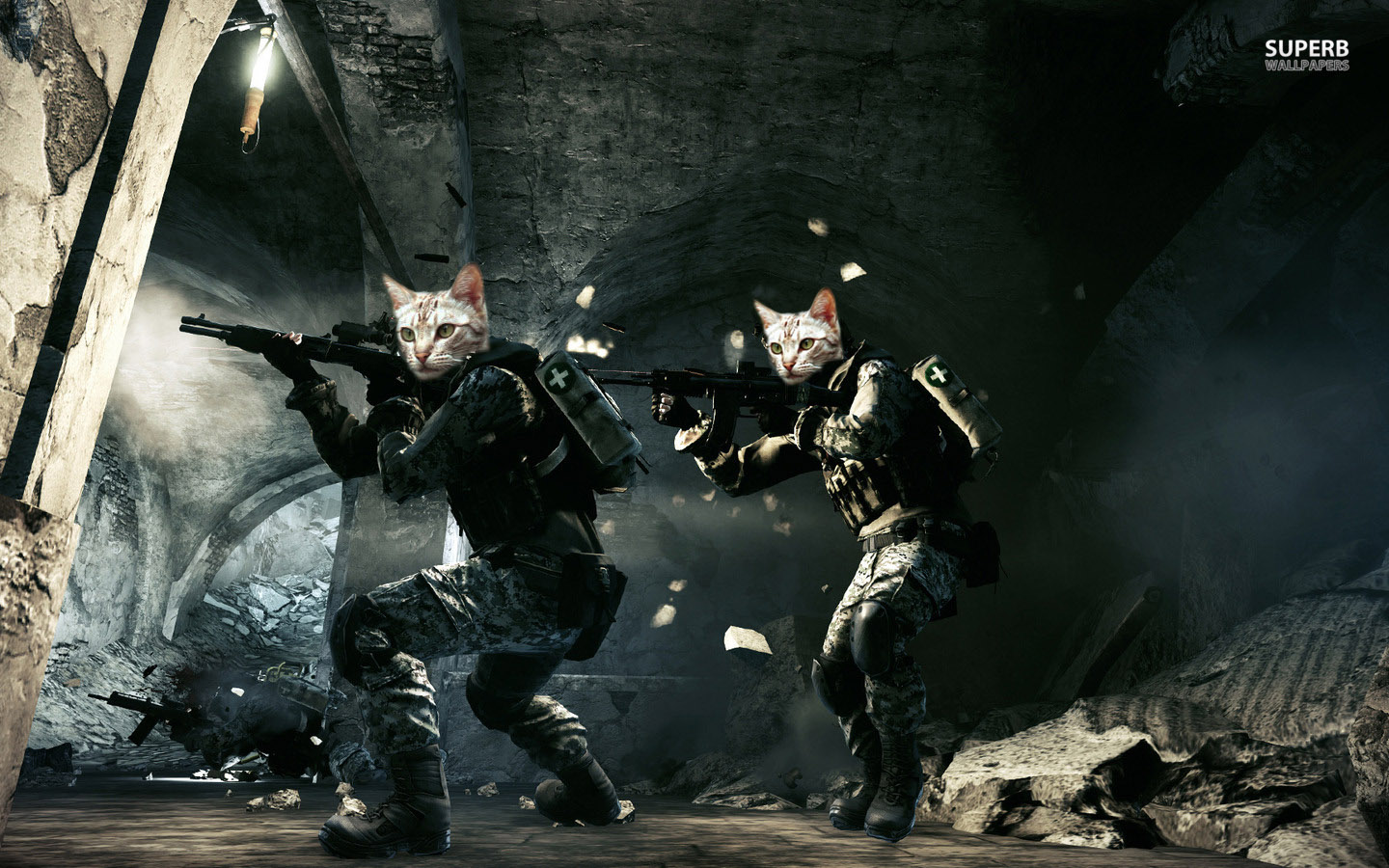 Kitty-Twins-PROJ2014.jpg