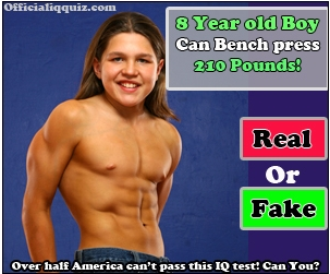 LOL WUT.png
