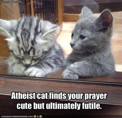 lolcat atheist.jpg
