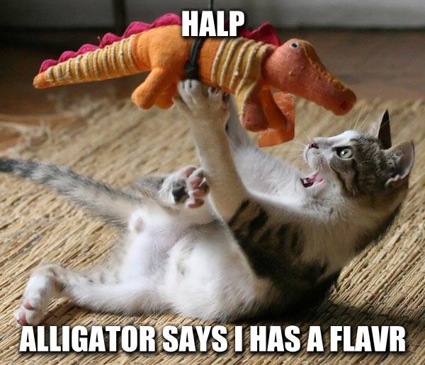 LolCatRenderer-21.jpg