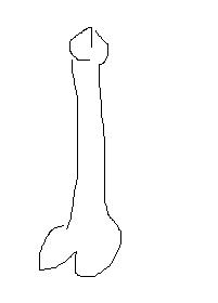 LOLDONGS.JPG