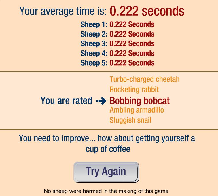 lolsheep.jpg