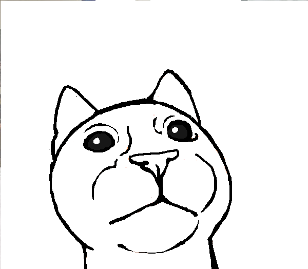 m00tsCat.png