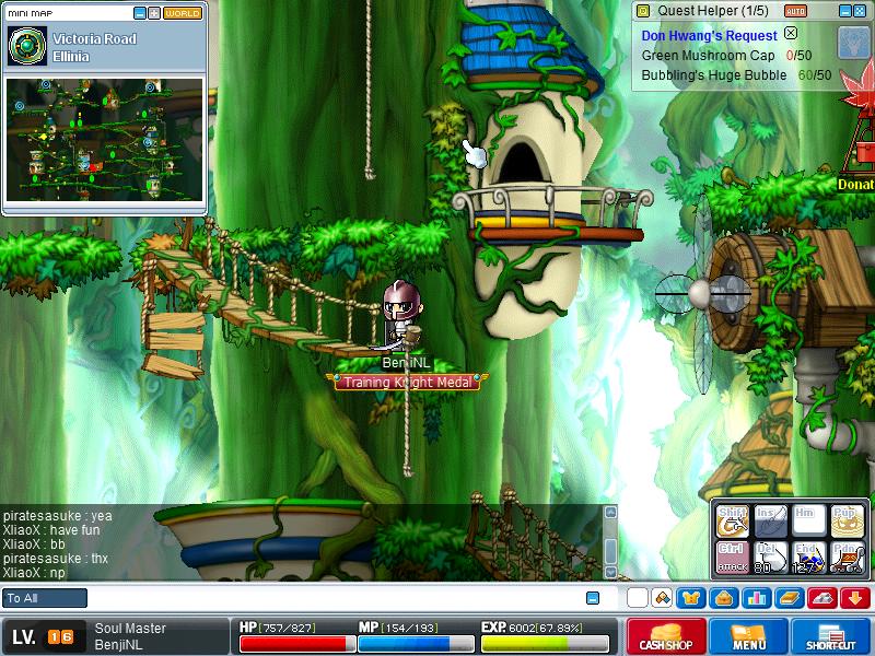 Maple0005.jpg