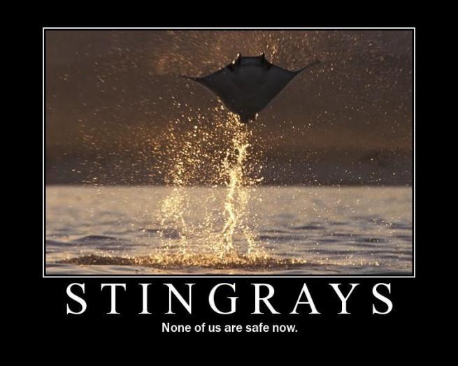 motivational-posters-stingrays-flying-out-of-the-w1-jpg.jpeg