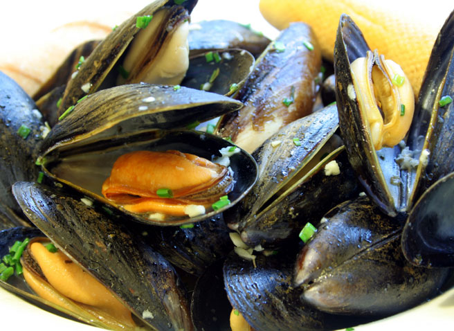 muscles[1].jpg