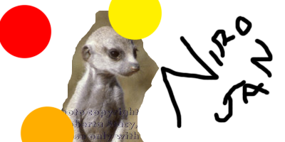 nirojan.png