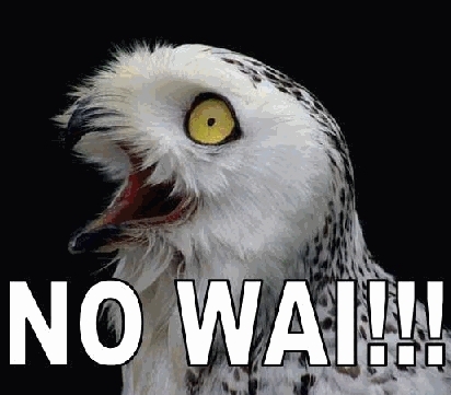 no-wai001-759200.jpg