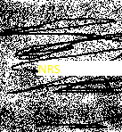 NRS.png