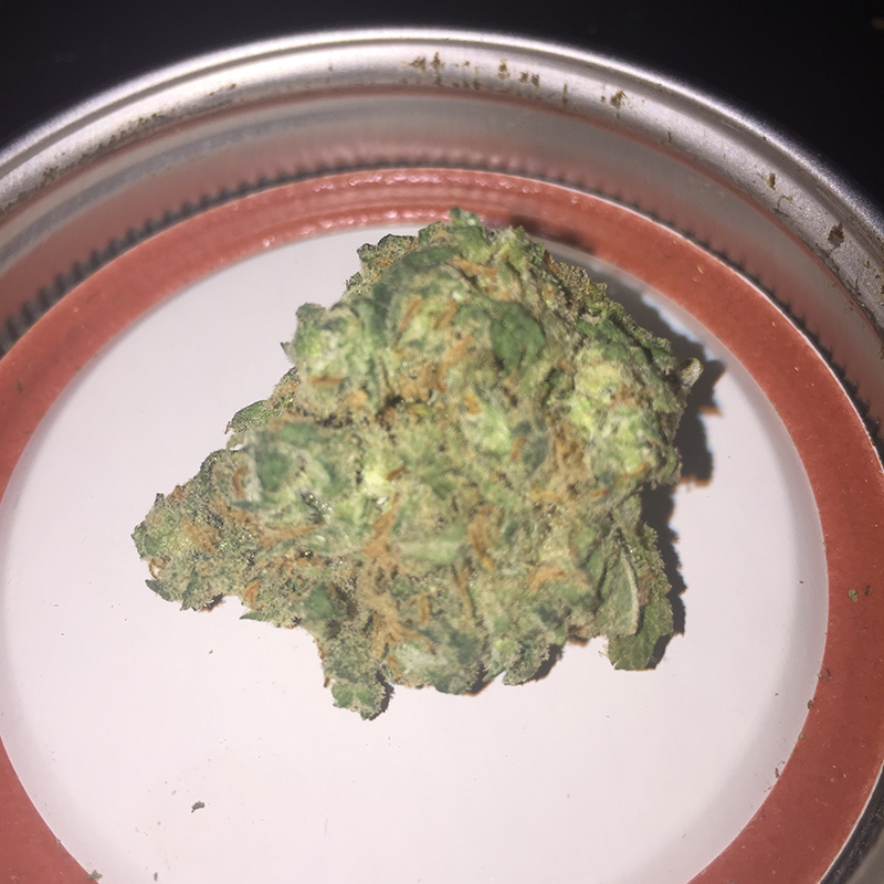 ogdispensary.png