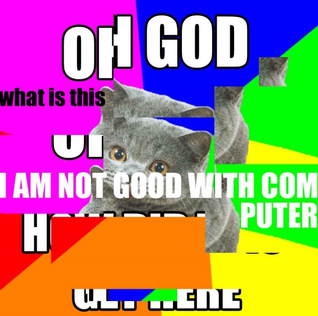oh-god-what-is-this-i-am-not-good-with-computer-lolcat.jpg