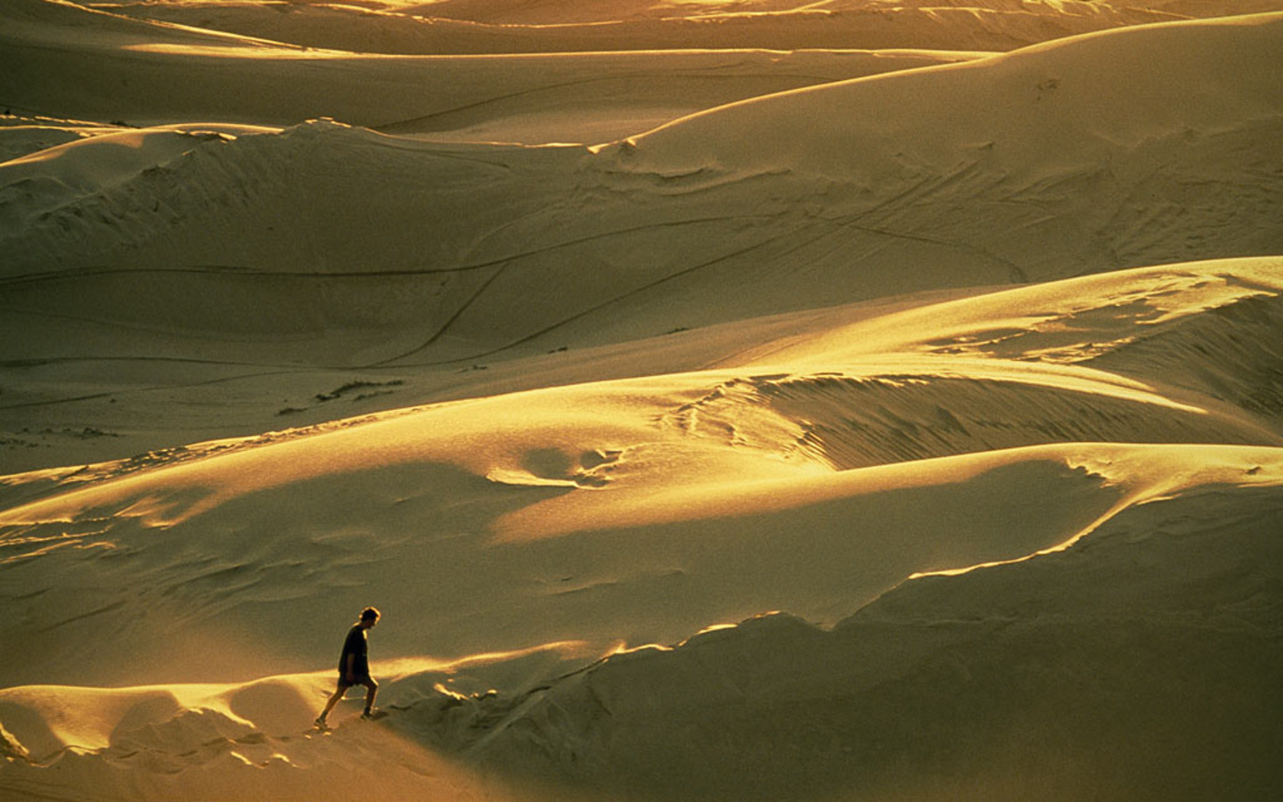 outback-dunes-520220-lw.jpg