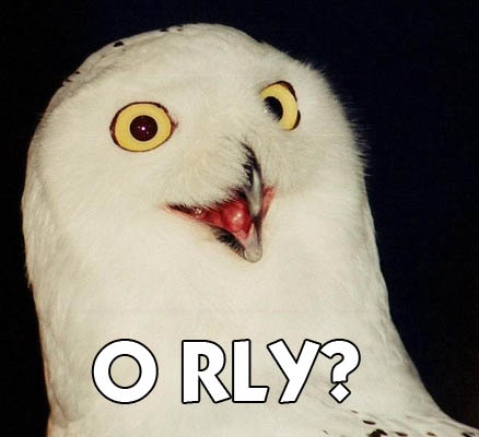 owl_orly[1].png