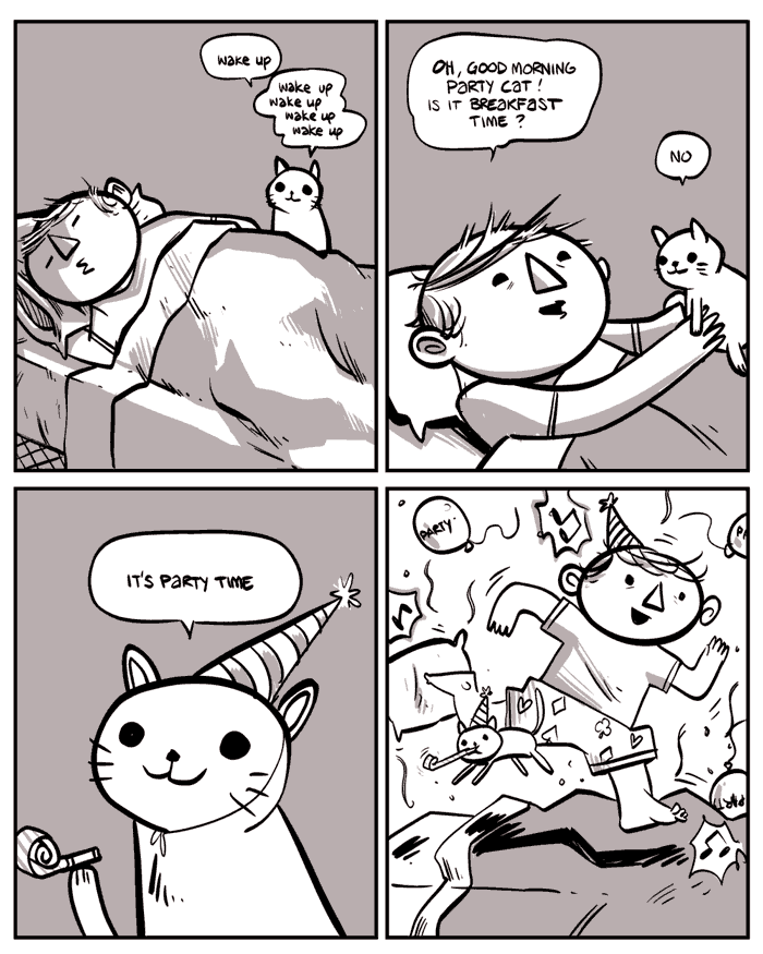 partycat.png