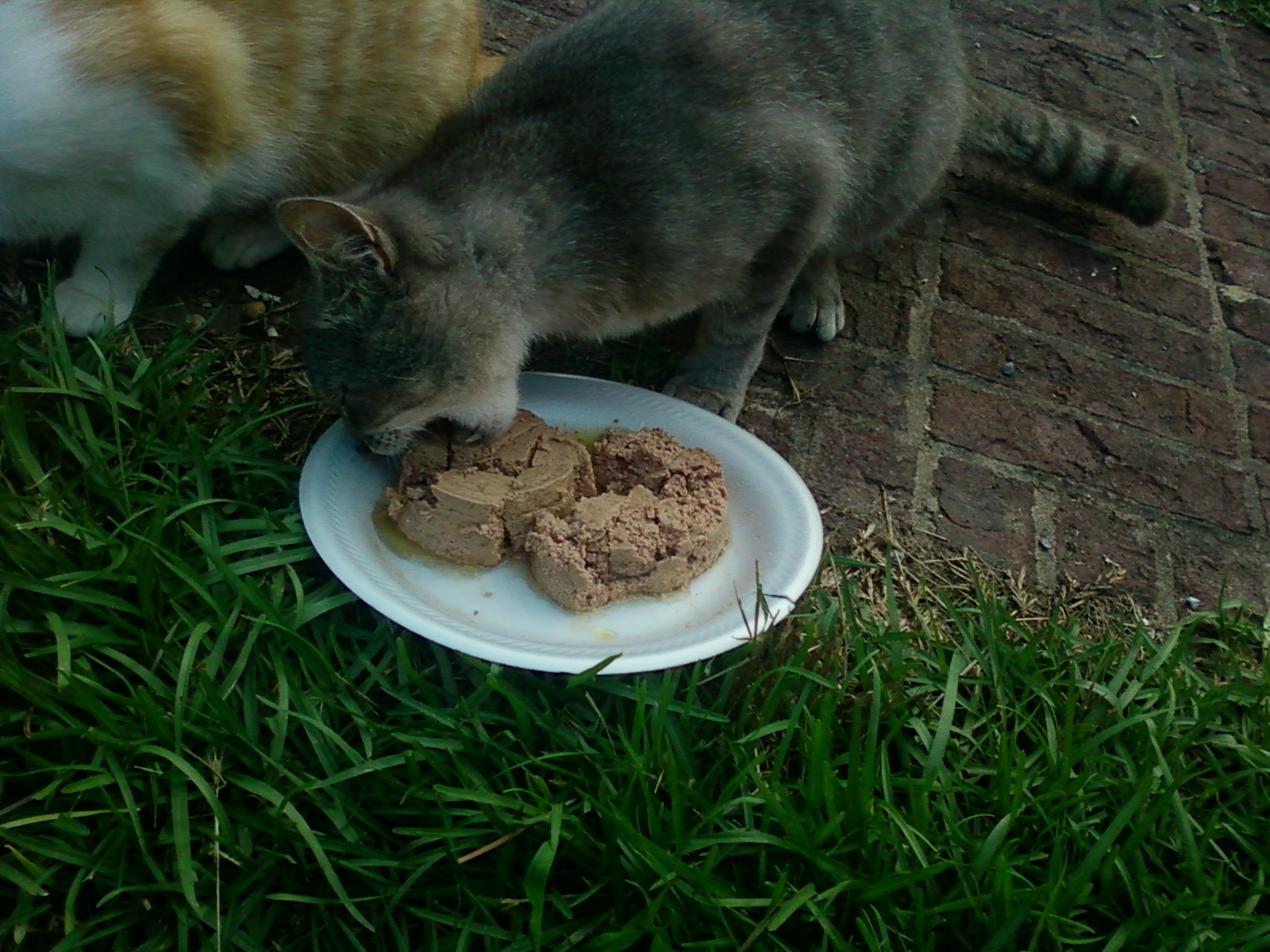 Photo0110.jpg