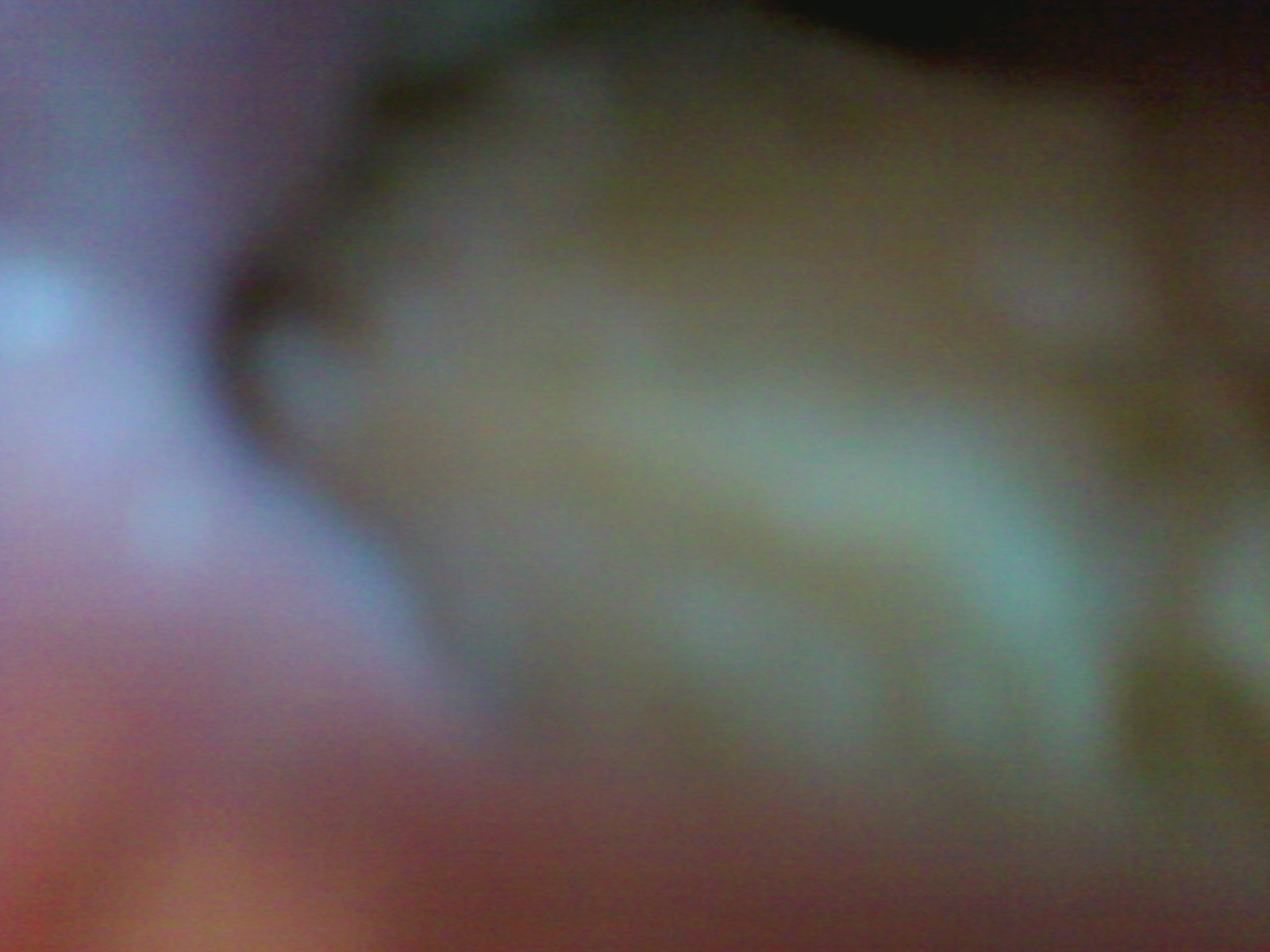 Photo0135.jpg