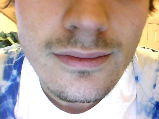 Picture 001.jpg