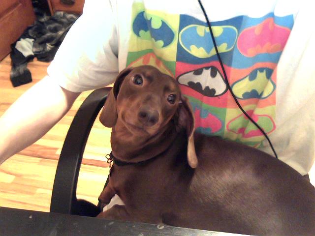 Picture 002.jpg
