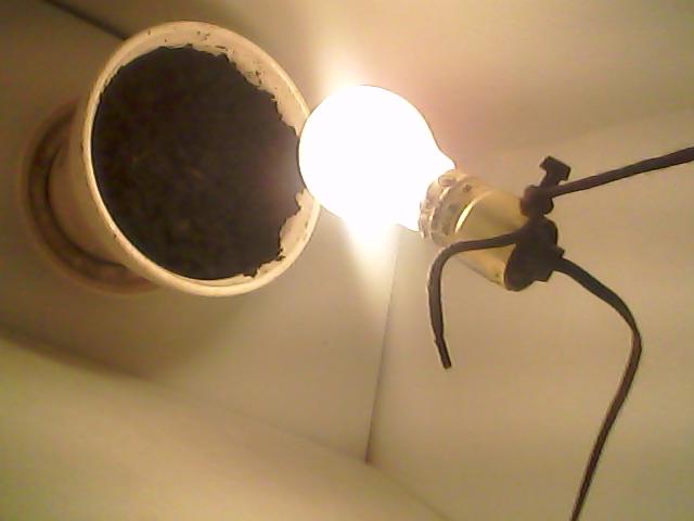 Picture 005.jpg