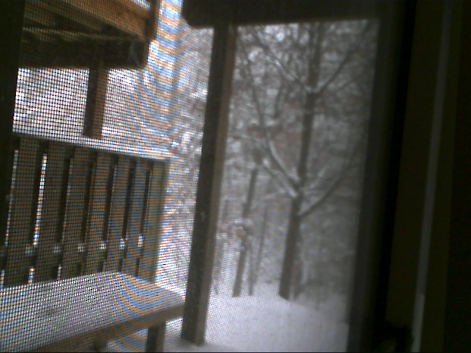 Picture 3.jpg