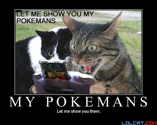 pokemanzcats.jpg