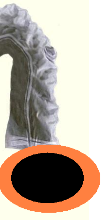 portal.PNG