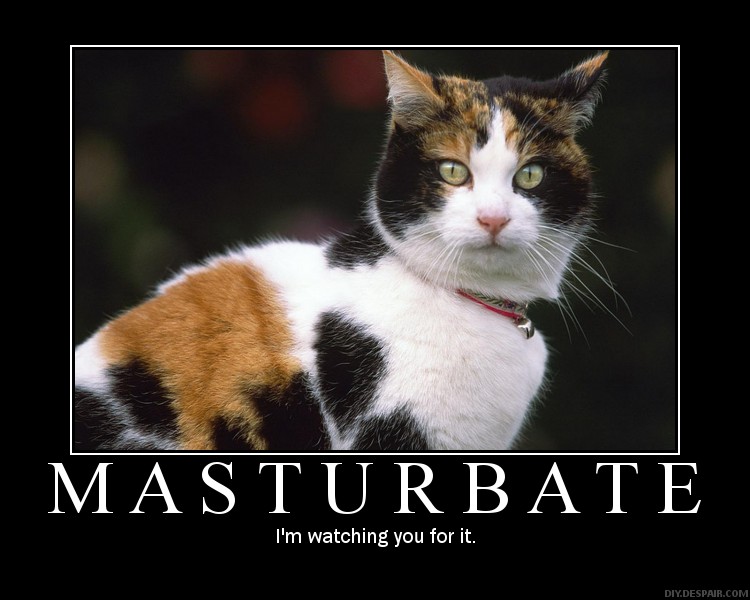 poster86691993.jpg