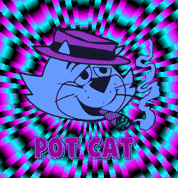 potcat.gif
