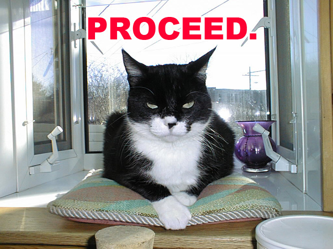 proceed.jpg