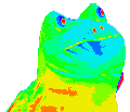 Rainbow Toad.GIF - Imgur.gif