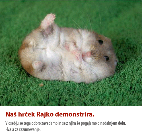 rajko.gif
