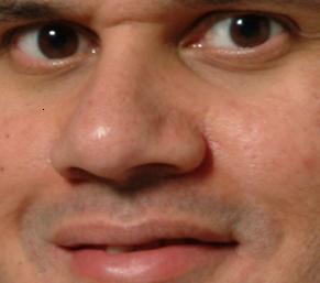 reggie.jpg